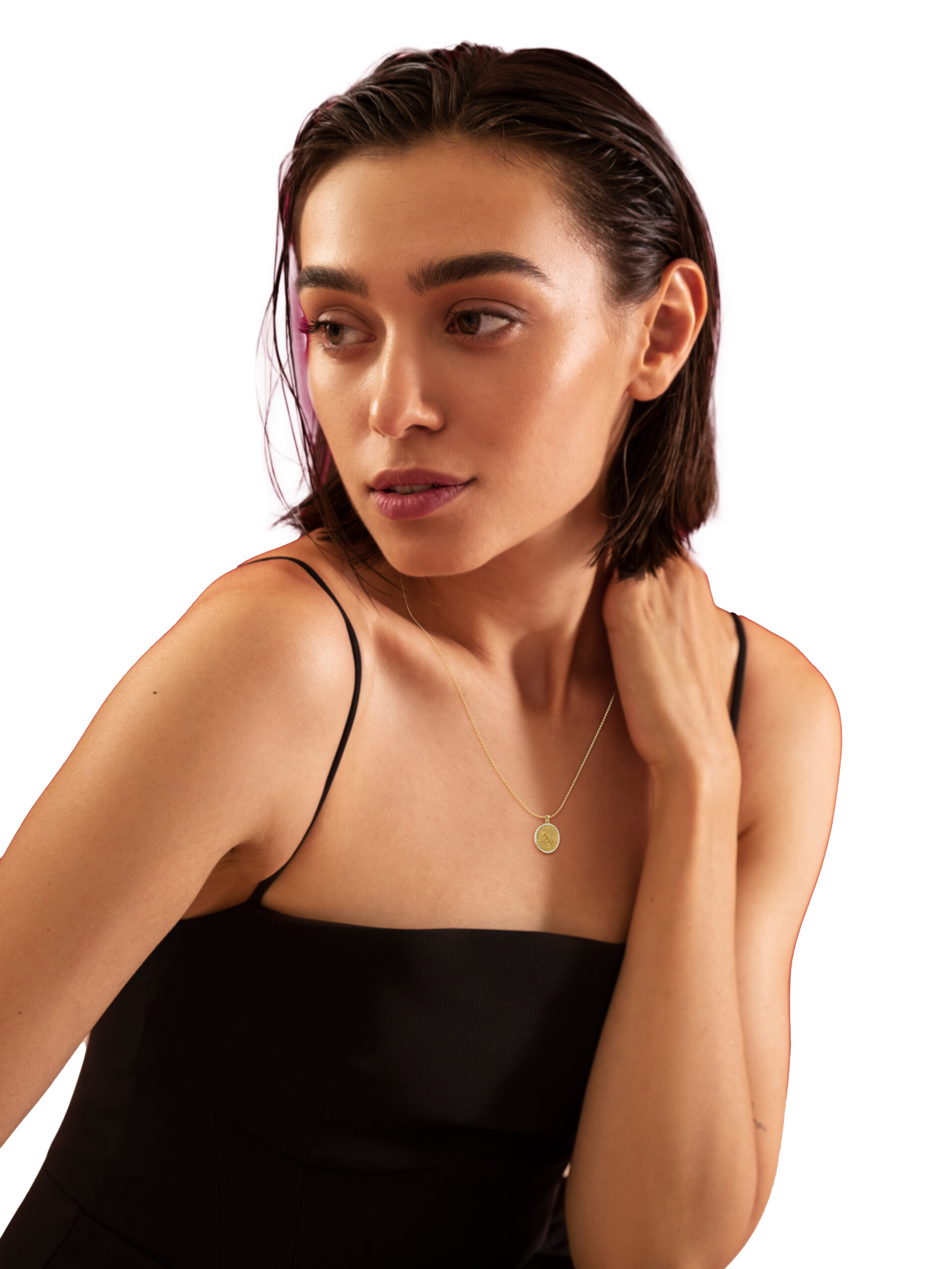 Stellar Disc: Sagittarius - The Voyager - PLEASURE DIAMONDS L.L.C. 5