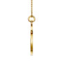 Celestial Icon: Scorpio - The Enigma - PLEASURE DIAMONDS L.L.C. 8