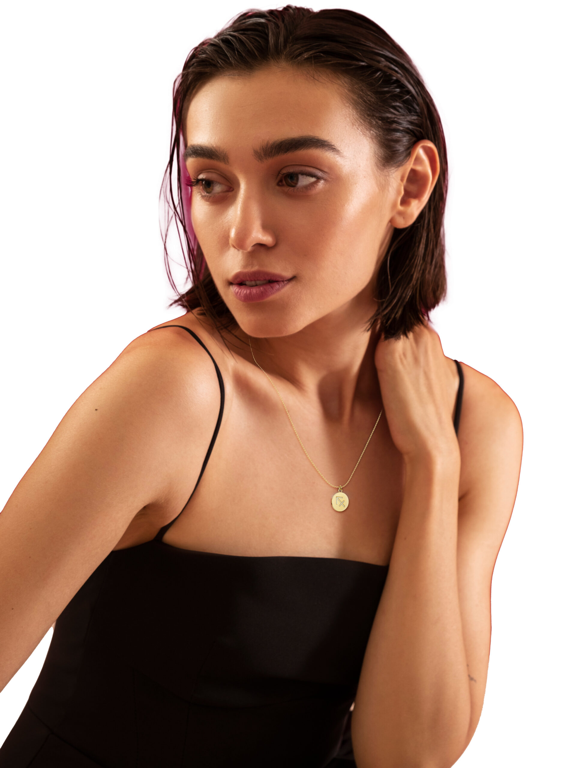 Celestial Icon: Sagittarius - The Voyager - PLEASURE DIAMONDS L.L.C. 5