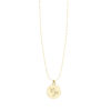 Celestial Icon: Capricorn - The Visionary - PLEASURE DIAMONDS L.L.C. 9