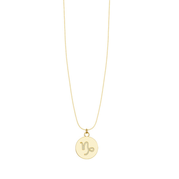 Celestial Icon: Capricorn - The Visionary - PLEASURE DIAMONDS L.L.C. 4
