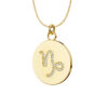 Celestial Icon: Capricorn - The Visionary - PLEASURE DIAMONDS L.L.C. 7