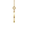 Celestial Icon: Capricorn - The Visionary - PLEASURE DIAMONDS L.L.C. 8